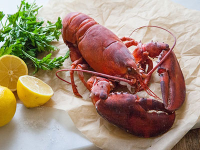 Atlantic-lobster-prepared